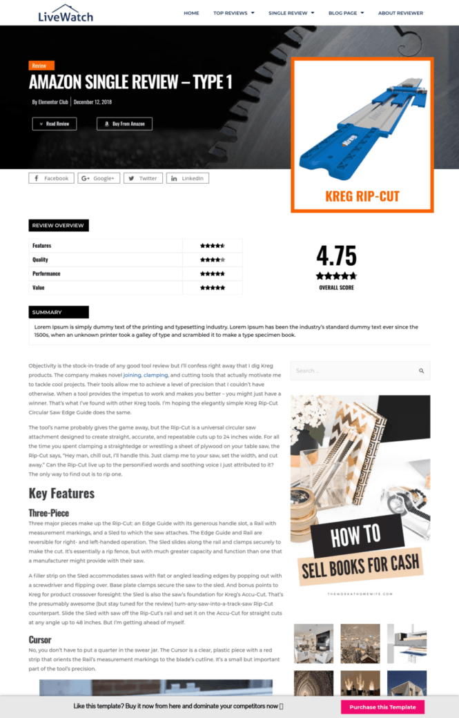 AMAZON SINGLE REVIEW PAGE Template