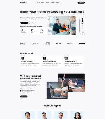 Business Agency Elementor Templateu